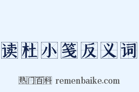 读杜小笺反义词是什么意思的图片